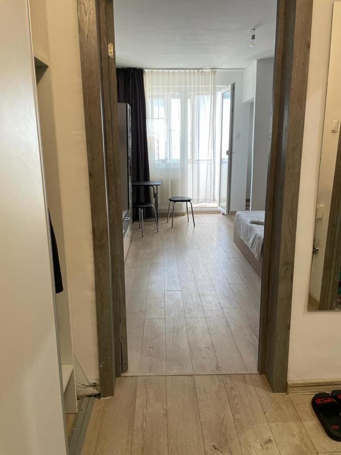 Apartment Bega Cirumvalatiunii One Apartment- 4 Timişoara