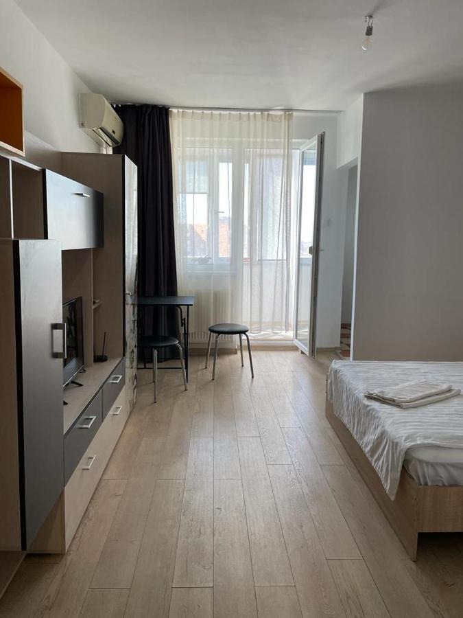 Apartment Bega Cirumvalatiunii One Apartment- 4 Timişoara